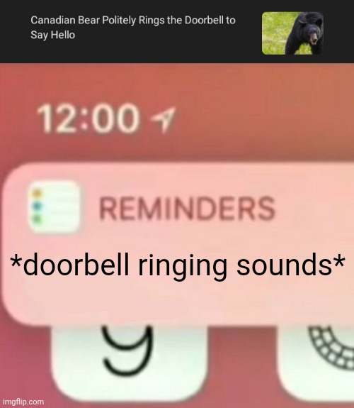 Bear rings the doorbell | *doorbell ringing sounds* | image tagged in reminder notification,news,memes,bear,rings,doorbell | made w/ Imgflip meme maker