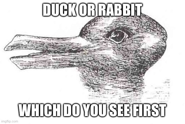 Tell the truth | DUCK OR RABBIT; WHICH DO YOU SEE FIRST | image tagged in illusion | made w/ Imgflip meme maker