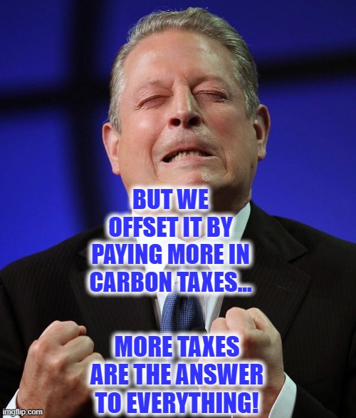 Al gore | MORE TAXES ARE THE ANSWER TO EVERYTHING! BUT WE OFFSET IT BY PAYING MORE IN CARBON TAXES... | image tagged in al gore | made w/ Imgflip meme maker