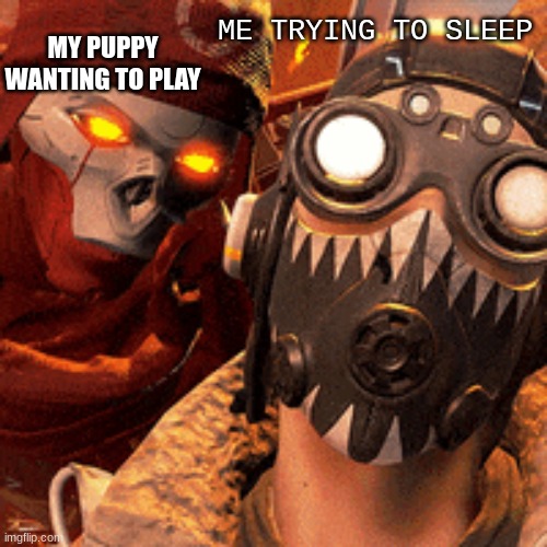 MY PUPPY WANTING TO PLAY; ME TRYING TO SLEEP | image tagged in apex legends | made w/ Imgflip meme maker