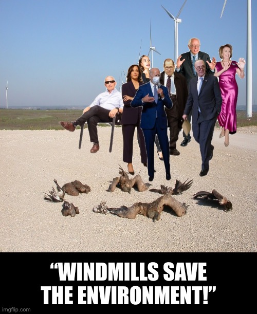 Incompetence by the Democrats! Again! | “WINDMILLS SAVE
THE ENVIRONMENT!” | image tagged in democrat party,democrats,joe biden,kamala harris,incompetence,environment | made w/ Imgflip meme maker