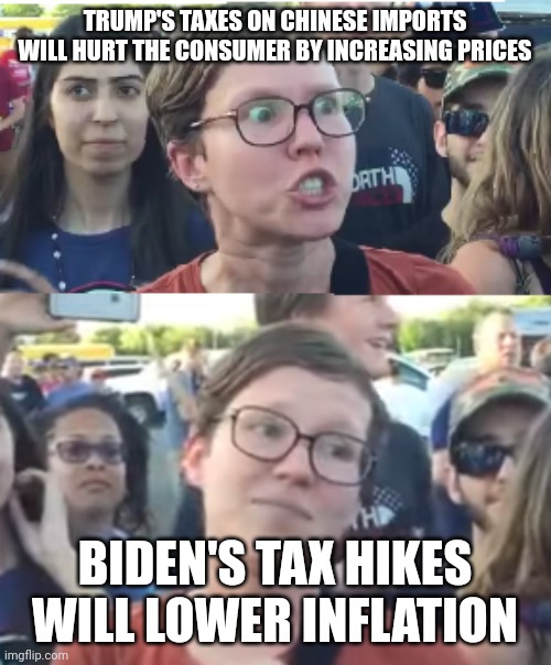 Can't reason with insanity | TRUMP'S TAXES ON CHINESE IMPORTS WILL HURT THE CONSUMER BY INCREASING PRICES; BIDEN'S TAX HIKES WILL LOWER INFLATION | image tagged in two faced liberal snowflake | made w/ Imgflip meme maker