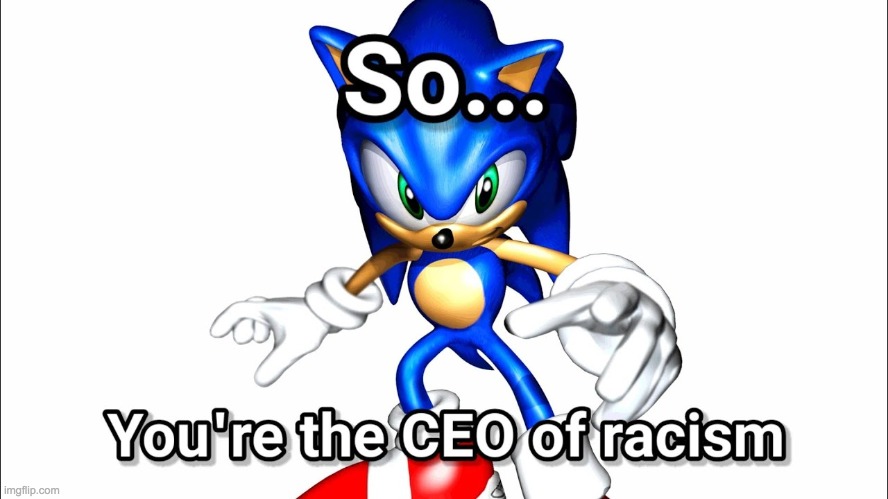 So You're The CEO of Racism? | image tagged in so you're the ceo of racism | made w/ Imgflip meme maker