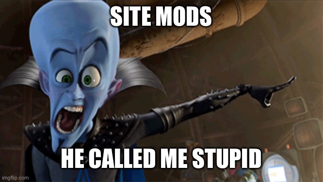 SITE MODS; HE CALLED ME STUPID | made w/ Imgflip meme maker