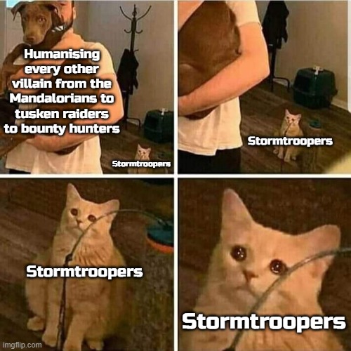 They bust their ass trying to protect the galaxy and get degraded to 'hahaha bad aim dey cant shoot gud hurhurhur' | Humanising every other villain from the Mandalorians to tusken raiders to bounty hunters; Stormtroopers; Stormtroopers; Stormtroopers; Stormtroopers | image tagged in sad cat holding dog | made w/ Imgflip meme maker