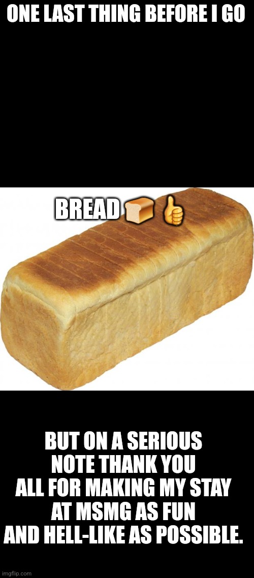 ONE LAST THING BEFORE I GO; BREAD 🍞 👍; BUT ON A SERIOUS NOTE THANK YOU ALL FOR MAKING MY STAY AT MSMG AS FUN AND HELL-LIKE AS POSSIBLE. | image tagged in blank black,breadddd | made w/ Imgflip meme maker