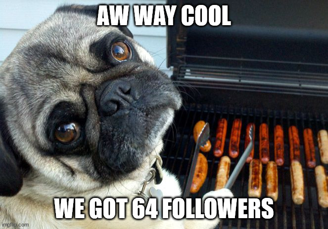 Pug BBQ | AW WAY COOL; WE GOT 64 FOLLOWERS | image tagged in pug bbq | made w/ Imgflip meme maker