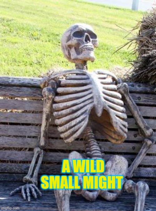 Small might | A WILD SMALL MIGHT | image tagged in memes | made w/ Imgflip meme maker