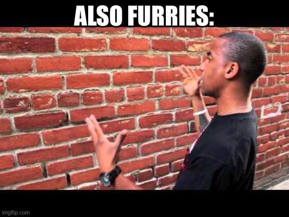 Brick wall guy | ALSO FURRIES: | image tagged in brick wall guy | made w/ Imgflip meme maker
