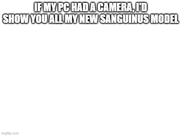 A | IF MY PC HAD A CAMERA, I'D SHOW YOU ALL MY NEW SANGUINUS MODEL | image tagged in blank white template | made w/ Imgflip meme maker