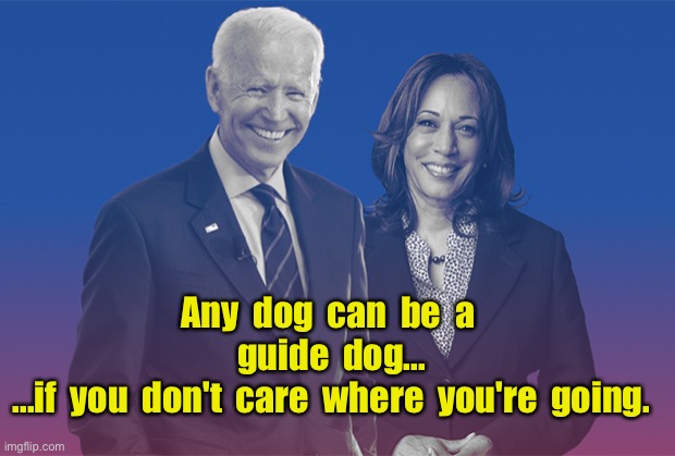 Biden Harris | Any  dog  can  be  a  guide  dog...
...if  you  don't  care  where  you're  going. | image tagged in biden harris,any dog,guidedog,do not care,going,politics | made w/ Imgflip meme maker