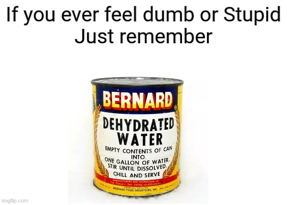 If you ever feel dumb or stupid just remember | image tagged in if you ever feel dumb or stupid just remember | made w/ Imgflip meme maker