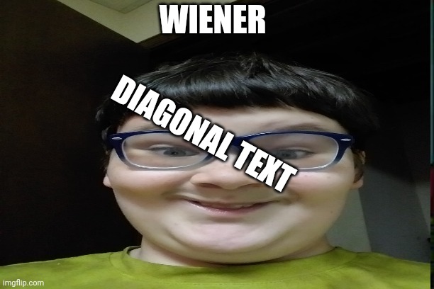 Wiener | WIENER; DIAGONAL TEXT | image tagged in funny | made w/ Imgflip meme maker