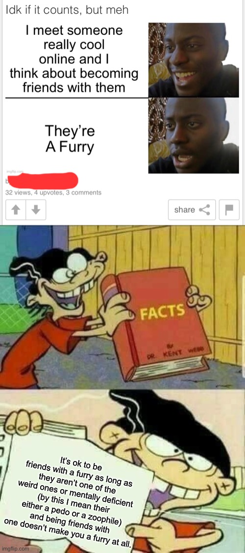 If you want to be friends with them, that’s ok. | It’s ok to be friends with a furry as long as they aren’t one of the weird ones or mentally deficient (by this I mean their either a pedo or a zoophile) and being friends with one doesn’t make you a furry at all. | image tagged in double d facts book | made w/ Imgflip meme maker