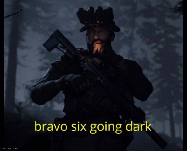 Bravo Six going dark | image tagged in bravo six going dark | made w/ Imgflip meme maker