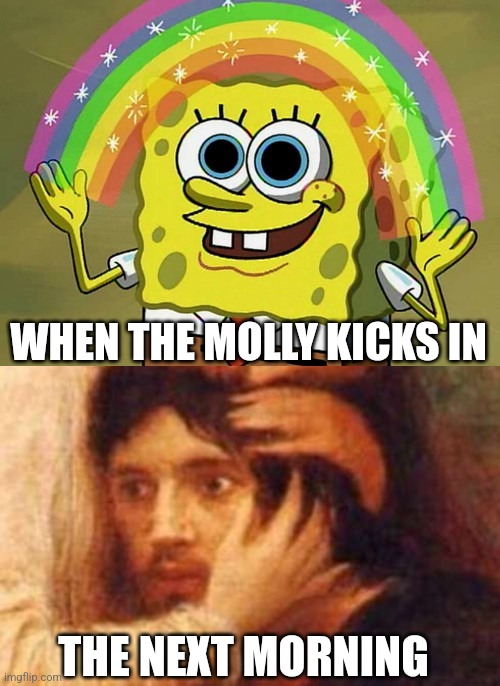 Best feeling followed by the worst | WHEN THE MOLLY KICKS IN; THE NEXT MORNING | image tagged in memes,imagination spongebob,despair classic art,funny | made w/ Imgflip meme maker