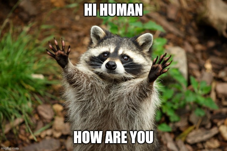 Hi human | HI HUMAN; HOW ARE YOU | image tagged in hi human | made w/ Imgflip meme maker