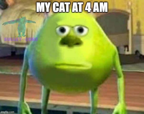 upvote if this is relatable | MY CAT AT 4 AM | image tagged in monsters inc | made w/ Imgflip meme maker