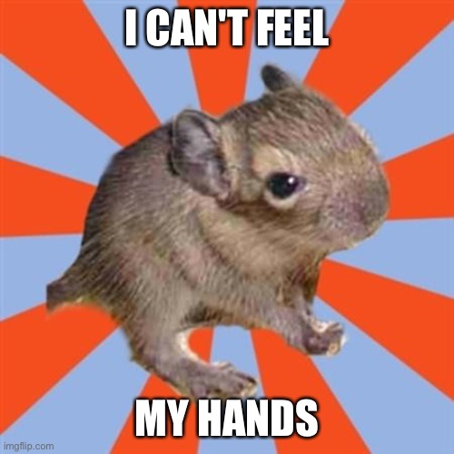 I can't feel my hands... dissociating meme | I CAN'T FEEL; MY HANDS | image tagged in dissociative degu,dissociating,out of body,depersonalization,dissociation | made w/ Imgflip meme maker