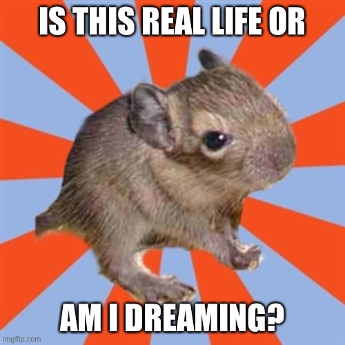 Is this real life or a dream? | IS THIS REAL LIFE OR; AM I DREAMING? | image tagged in dissociative degu,dissociative identity disorder,derealization,dissociation,reality | made w/ Imgflip meme maker