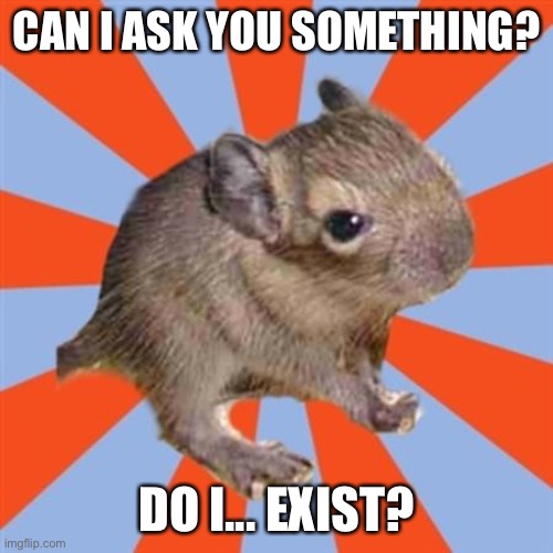 Do I exist? Am I real? | CAN I ASK YOU SOMETHING? DO I... EXIST? | image tagged in dissociative degu,existential crisis,derealization,dissociation,dissociative identity disorder | made w/ Imgflip meme maker