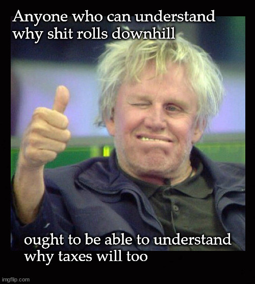 Anyone who can understand why shit rolls downhill | Anyone who can understand why shit rolls downhill; ought to be able to understand 
why taxes will too | image tagged in gary busey,shit rolls downhill | made w/ Imgflip meme maker
