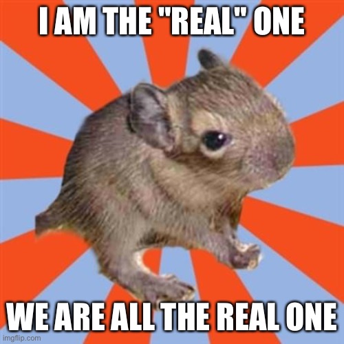 Dissociative Identity Disorder - we are all "real" | I AM THE "REAL" ONE; WE ARE ALL THE REAL ONE | image tagged in dissociative degu,dissociative identity disorder,the real one,core,original,osdd | made w/ Imgflip meme maker