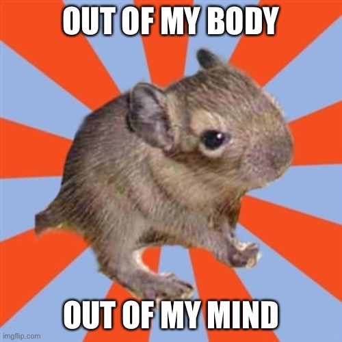 Dissociating out of my body | OUT OF MY BODY; OUT OF MY MIND | image tagged in dissociative degu,dissociative identity disorder,osdd,depersonalization,dissociation,out of body experience | made w/ Imgflip meme maker