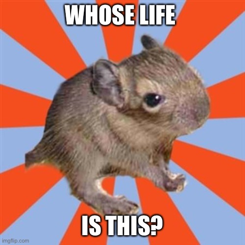 My life is not my life | WHOSE LIFE; IS THIS? | image tagged in dissociative degu,dissociative identity disorder,osdd,did meme,not my life | made w/ Imgflip meme maker