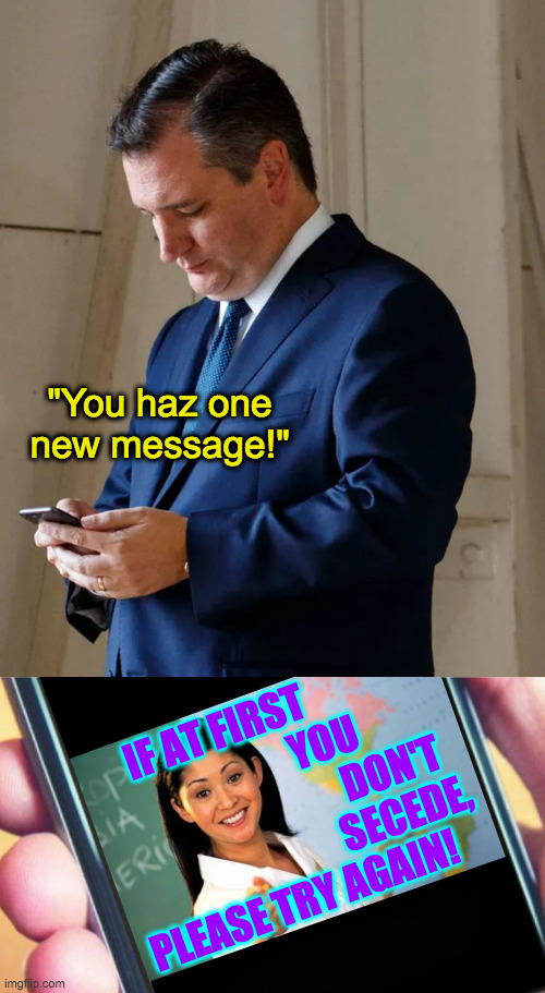 I sent the same message to Florida. | "You haz one new message!"; IF AT FIRST                
YOU           
DON'T  
SECEDE,
PLEASE TRY AGAIN! | image tagged in ted gets a text,memes,presidential alert | made w/ Imgflip meme maker