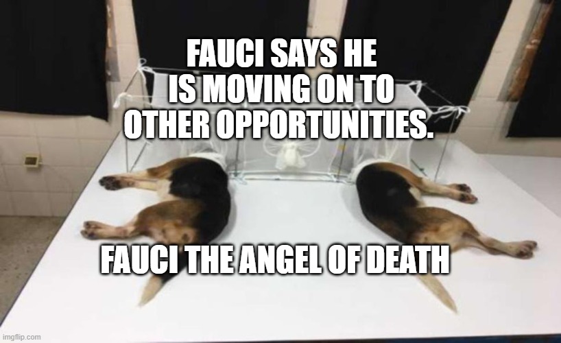 Fauci Beagles | FAUCI SAYS HE IS MOVING ON TO OTHER OPPORTUNITIES. FAUCI THE ANGEL OF DEATH | image tagged in fauci beagles | made w/ Imgflip meme maker