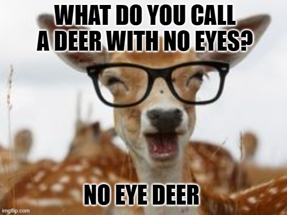 Joke from a 5 year old | WHAT DO YOU CALL A DEER WITH NO EYES? NO EYE DEER | image tagged in terrible puns,funny | made w/ Imgflip meme maker