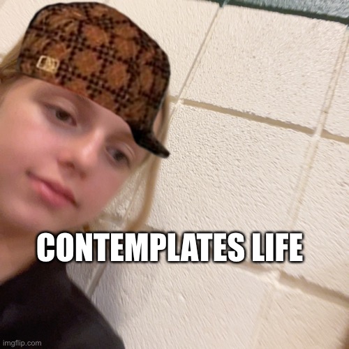 Meme | CONTEMPLATES LIFE | image tagged in memes | made w/ Imgflip meme maker