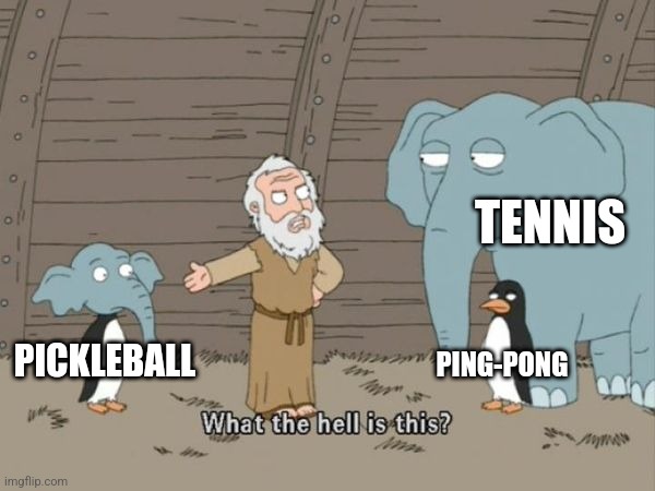 Exactly what it looks like. |  TENNIS; PING-PONG; PICKLEBALL | image tagged in what the hell is this,tennis,ping pong,pickelball,illegitimate child,noah's ark | made w/ Imgflip meme maker