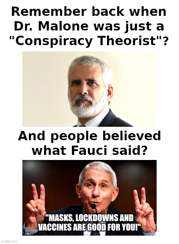 Remember Back When Dr. Malone Was Just A "Conspiracy Theorist"? | image tagged in covid,dr robert malone,the truth,fauci,lies,flip flops | made w/ Imgflip meme maker