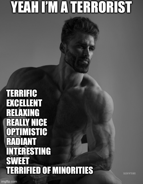 Total Chad |  YEAH I’M A TERRORIST; TERRIFIC
EXCELLENT
RELAXING
REALLY NICE
OPTIMISTIC
RADIANT 
INTERESTING
SWEET
TERRIFIED OF MINORITIES | image tagged in giga chad,funny,memes,relatable,chad,fallout hold up | made w/ Imgflip meme maker
