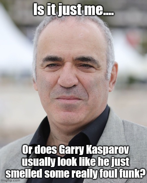 Garry Kasparov smelled something foul. | image tagged in funny | made w/ Imgflip meme maker