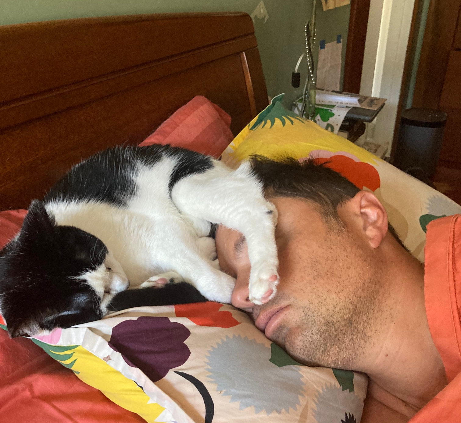 Sleeping with cats Blank Meme Template