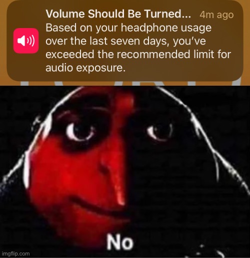 Who do they think I am???? | image tagged in gru no | made w/ Imgflip meme maker