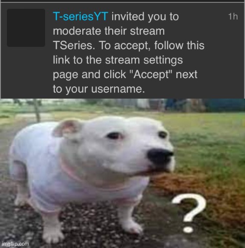 ? | image tagged in dog question mark | made w/ Imgflip meme maker