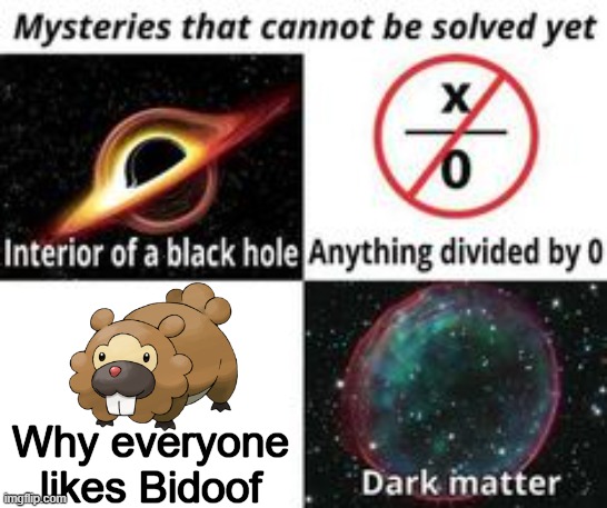 Why? Just Why? | Why everyone likes Bidoof | image tagged in mysteries that cannot be solved yet,memes,funny,pokemon,unsolved mysteries,why are you reading this | made w/ Imgflip meme maker