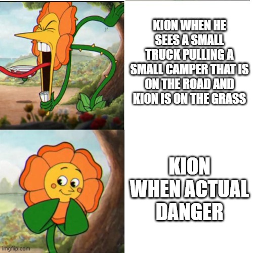 Cuphead Flower | KION WHEN HE SEES A SMALL TRUCK PULLING A SMALL CAMPER THAT IS ON THE ROAD AND KION IS ON THE GRASS; KION WHEN ACTUAL DANGER | image tagged in cuphead flower,memes,president_joe_biden,truck,rv,towing | made w/ Imgflip meme maker