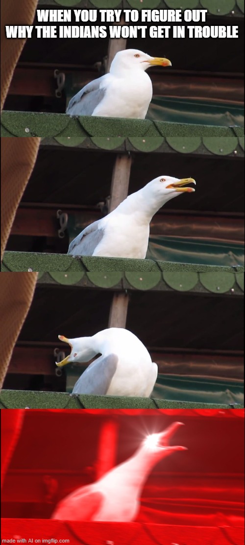 reverse racism | WHEN YOU TRY TO FIGURE OUT WHY THE INDIANS WON'T GET IN TROUBLE | image tagged in memes,inhaling seagull | made w/ Imgflip meme maker