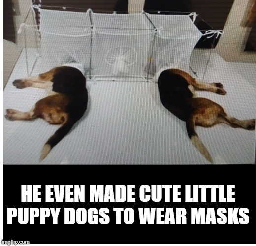 Fauci... | HE EVEN MADE CUTE LITTLE PUPPY DOGS TO WEAR MASKS | image tagged in cruelty | made w/ Imgflip meme maker