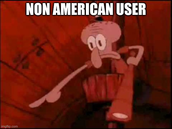 Squidward pointing | NON AMERICAN USER | image tagged in squidward pointing | made w/ Imgflip meme maker
