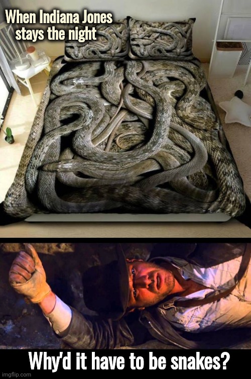 Some people love snakes | When Indiana Jones
    stays the night; Why'd it have to be snakes? | image tagged in indiana jones,bedtime,no i don't think i will,i don't need sleep i need answers | made w/ Imgflip meme maker