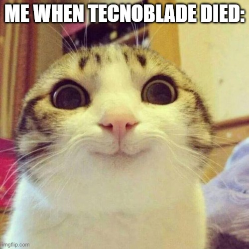 Smiling Cat | ME WHEN TECNOBLADE DIED: | image tagged in memes,smiling cat | made w/ Imgflip meme maker