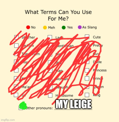 What I REALLY want to say. XD | MY LEIGE | image tagged in pronouns sheet | made w/ Imgflip meme maker