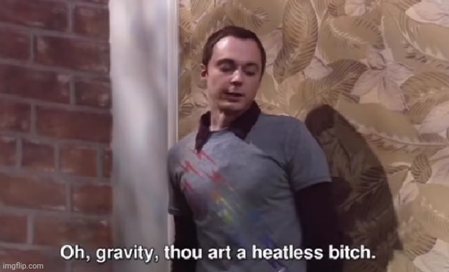 Oh, gravity, thou art a heartless bitch | image tagged in oh gravity thou art a heartless bitch | made w/ Imgflip meme maker