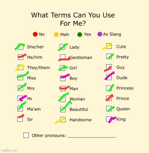 Pronouns Sheet | image tagged in pronouns sheet | made w/ Imgflip meme maker